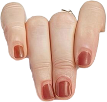 https://alandownward.com/wp-content/uploads/2025/08/about-me-hand-left.png